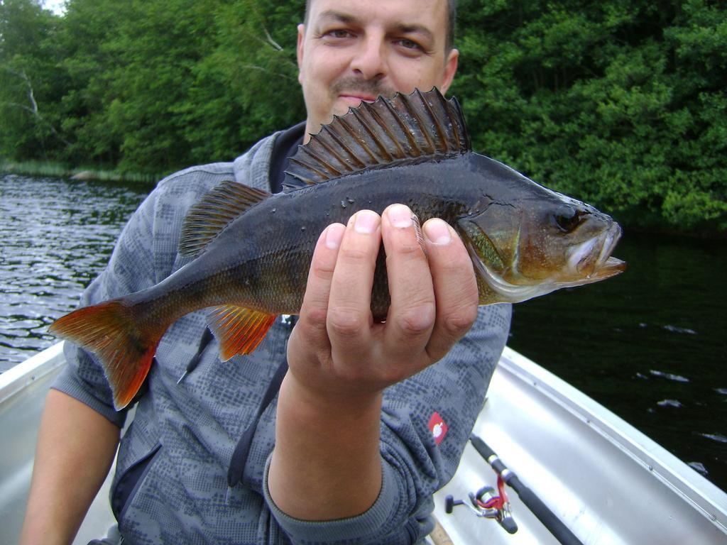 Wismens Natur & Fiske Krogsered Luaran gambar