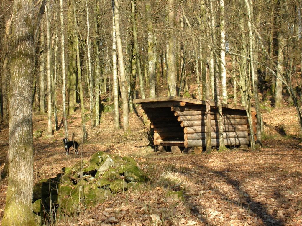 Wismens Natur & Fiske Krogsered Luaran gambar