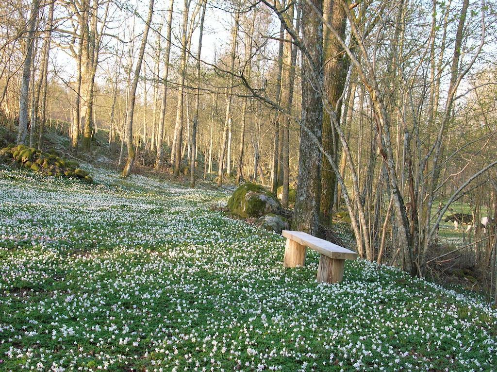 Wismens Natur & Fiske Krogsered Luaran gambar