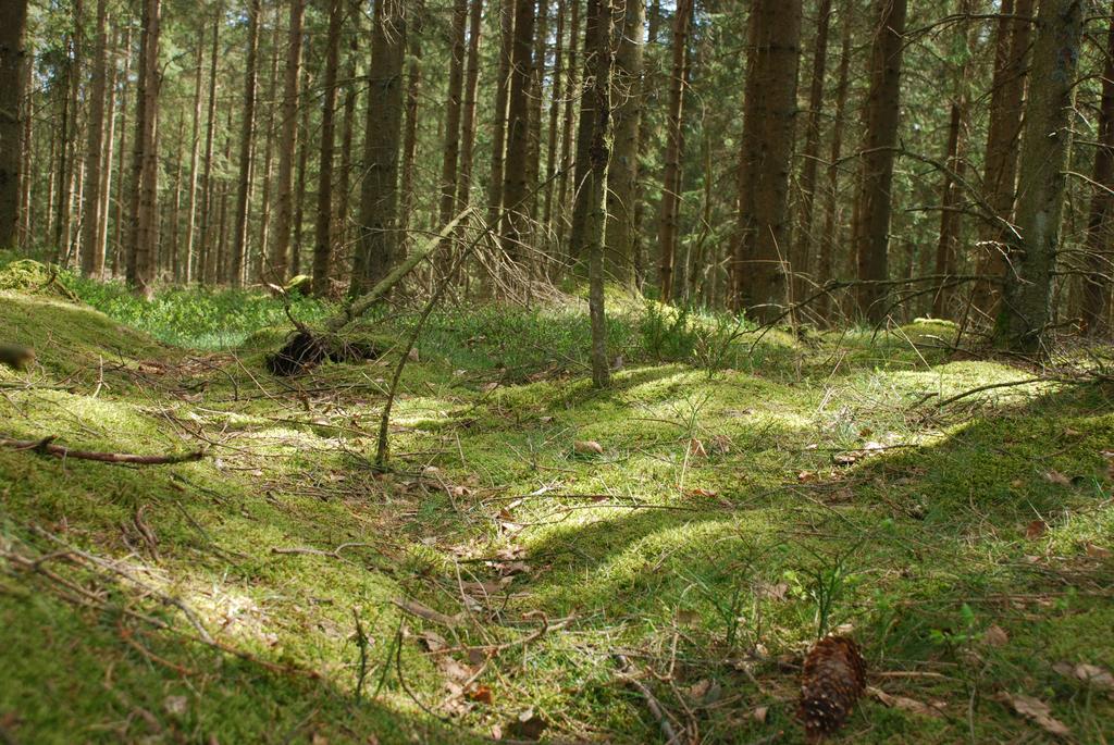 Wismens Natur & Fiske Krogsered Luaran gambar